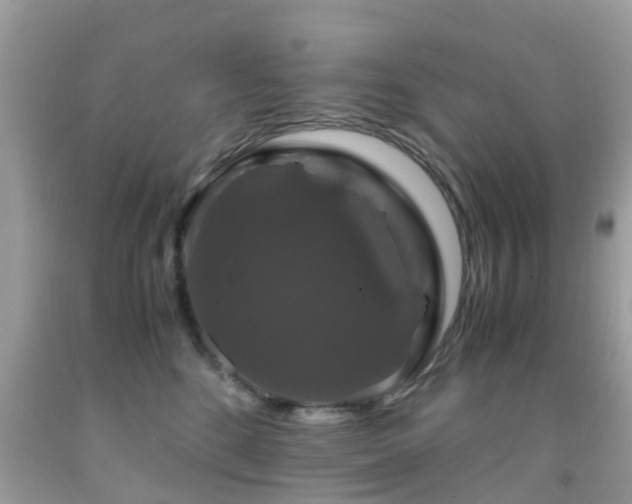 X0000091940520200709051525