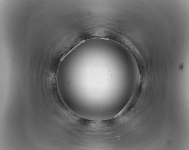 X0000091940521200709051525