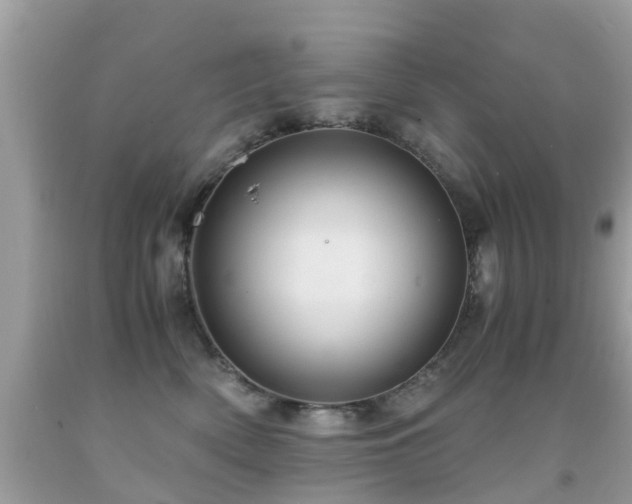 X0000091940522200709051525