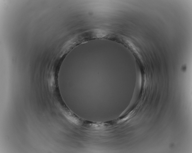 X0000091940524200709051525