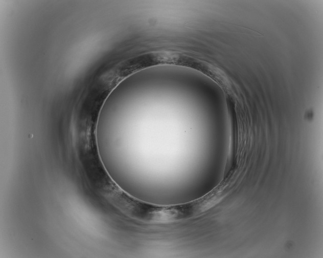 X0000091940525200709051525