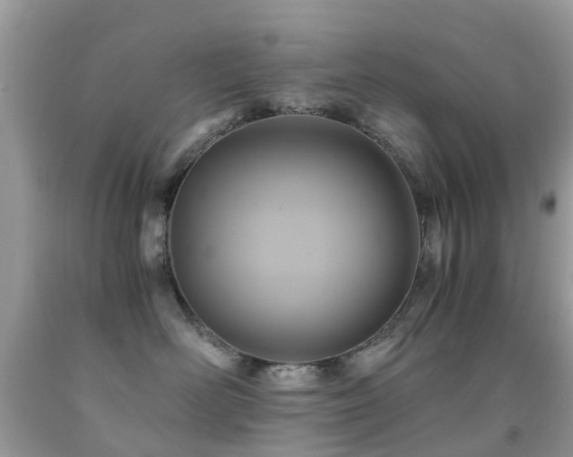 X0000091940526200709051525