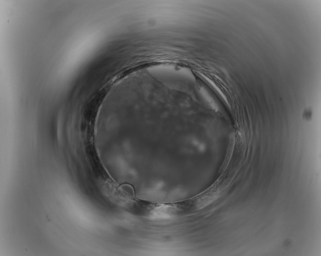 X0000091940527200709051525