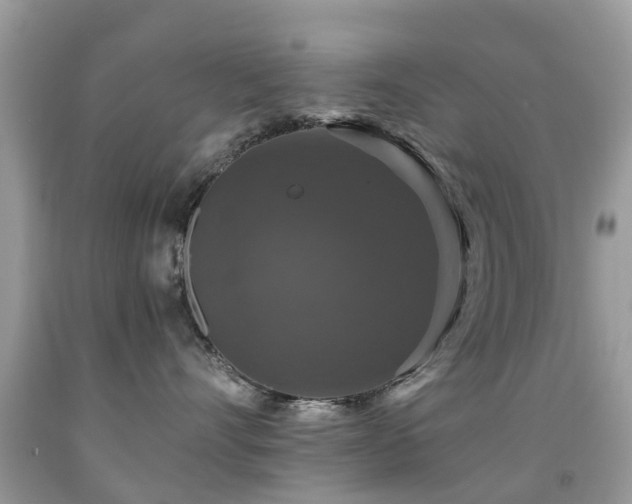 X0000091940528200709051525