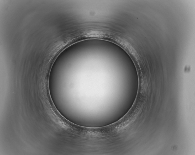 X0000091940529200709051524