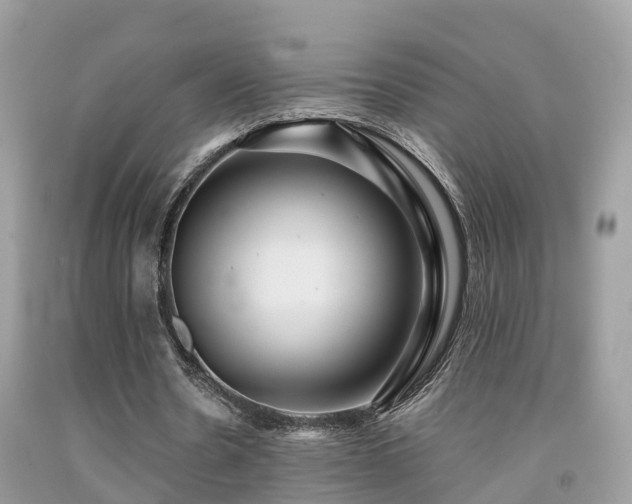 X0000091940530200709051524