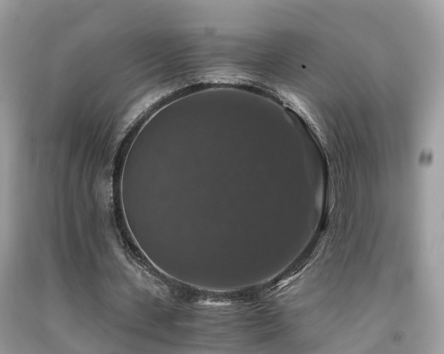 X0000091940531200709051524