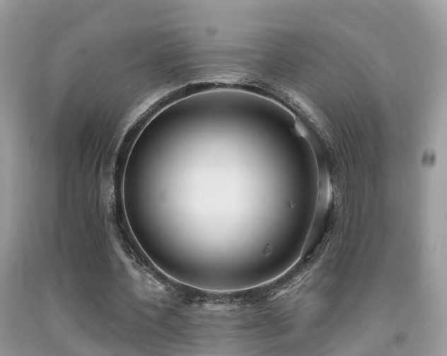 X0000091940532200709051524