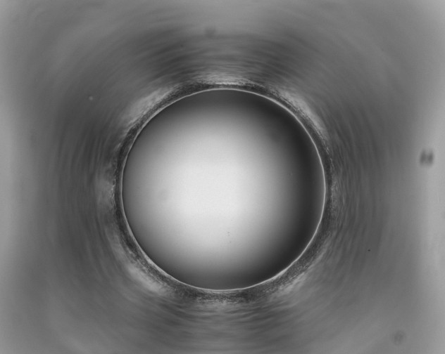 X0000091940533200709051524