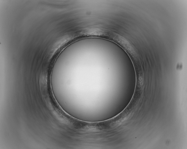 X0000091940534200709051525