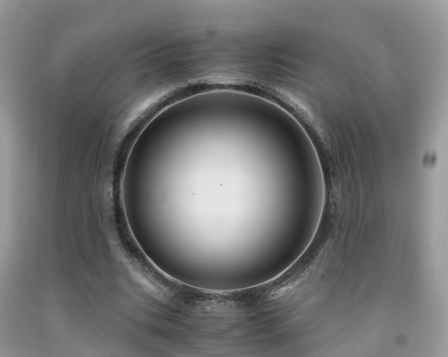 X0000091940535200709051525