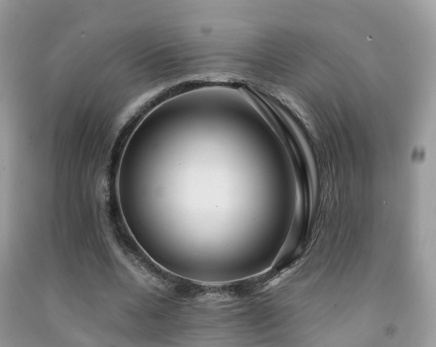 X0000091940536200709051525