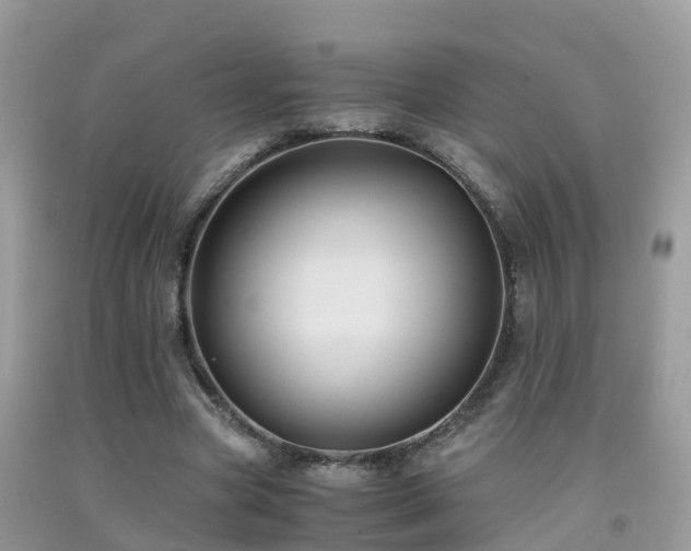 X0000091940537200709051525