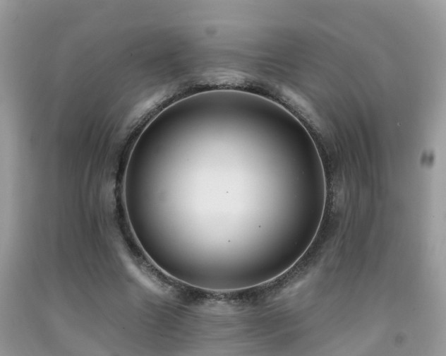 X0000091940538200709051525