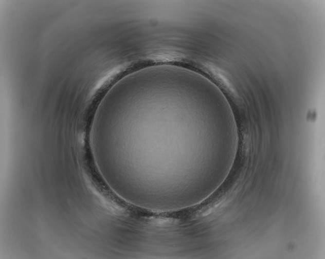 X0000091940539200709051525