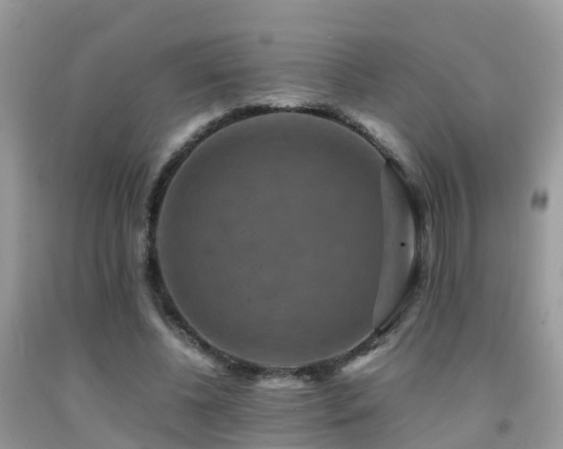 X0000091940540200709051525