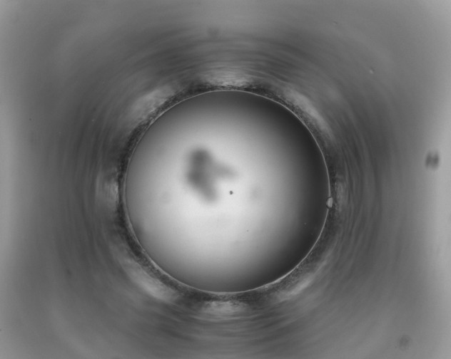 X0000091940541200709051525