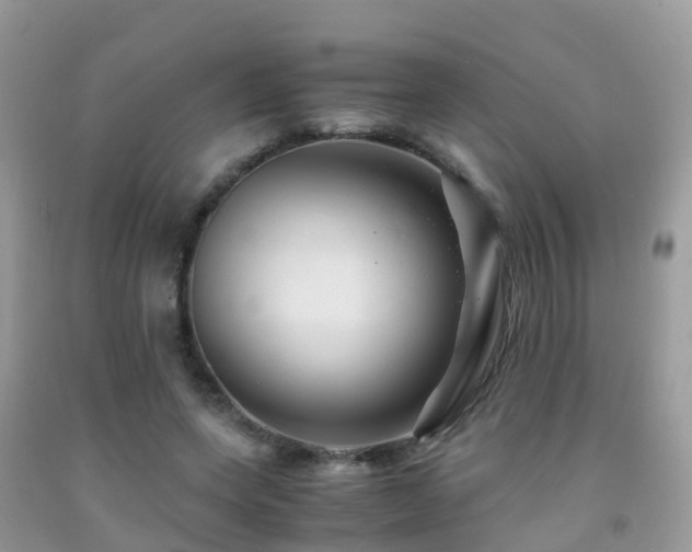 X0000091940543200709051525