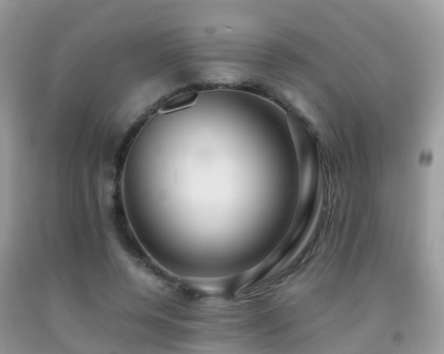 X0000091940544200709051525