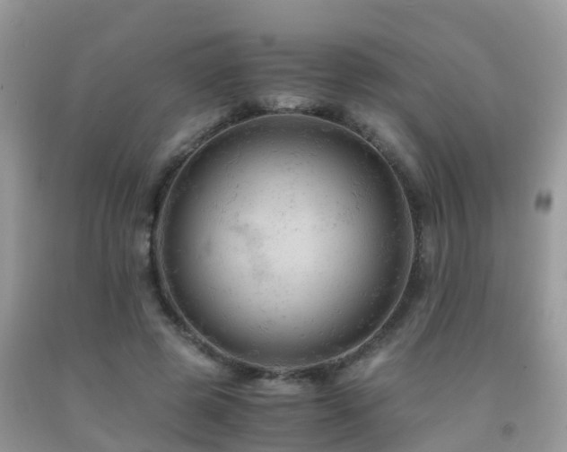 X0000091940545200709051525