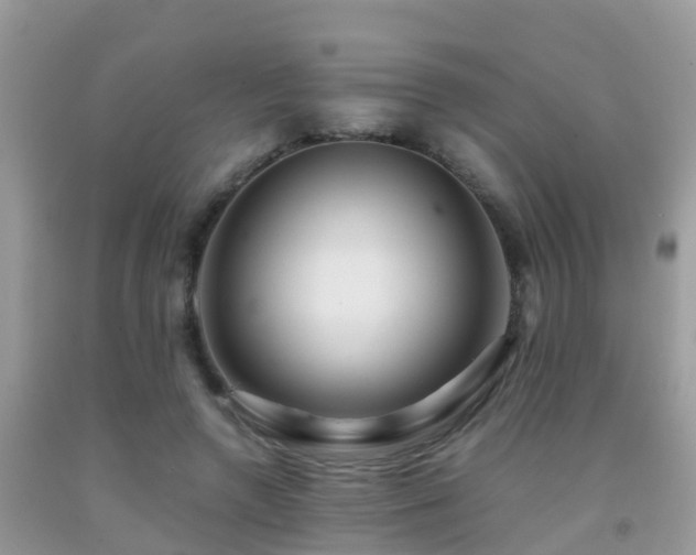 X0000091940546200709051525