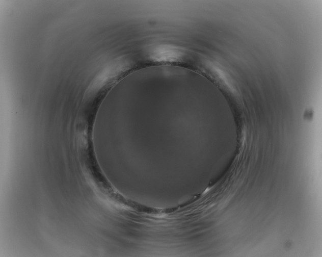 X0000091940547200709051525