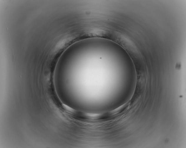 X0000091940548200709051525