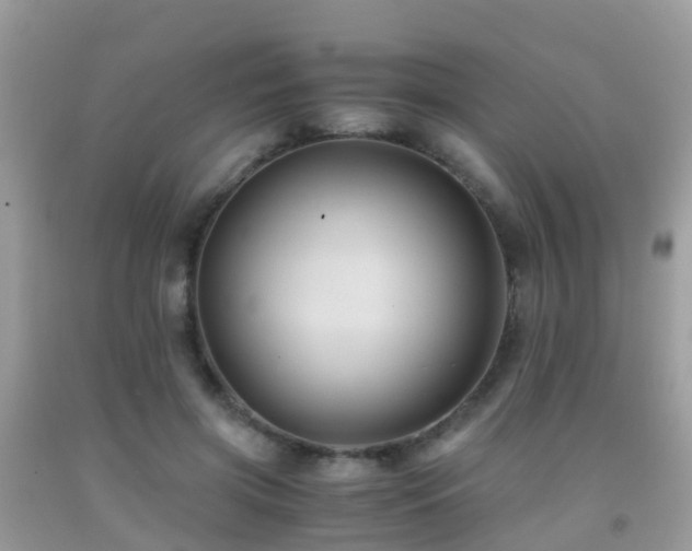 X0000091940549200709051525