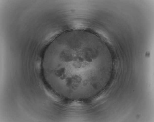 X0000091940550200709051525