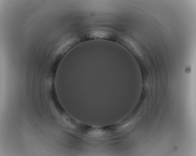 X0000091940551200709051525