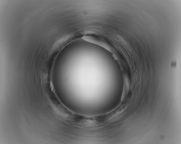 X0000091940552200709051525