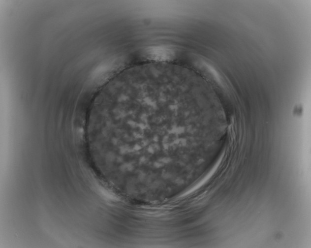 X0000091940553200709051525