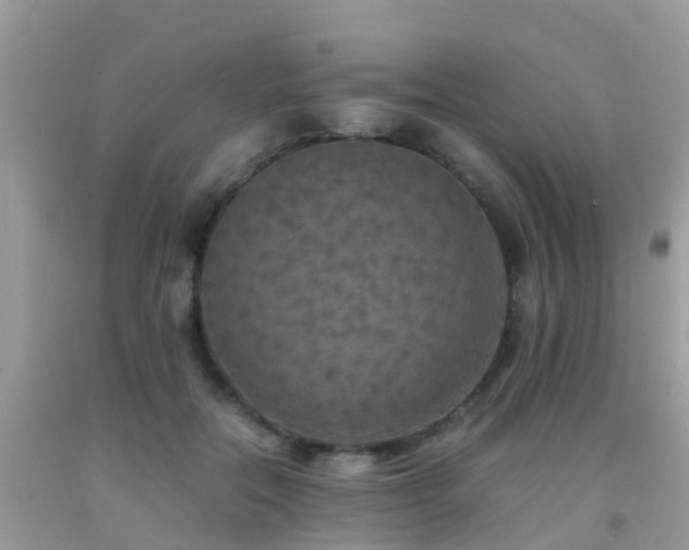 X0000091940554200709051525