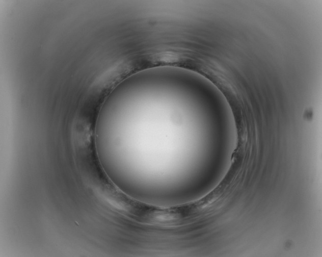 X0000091940555200709051525