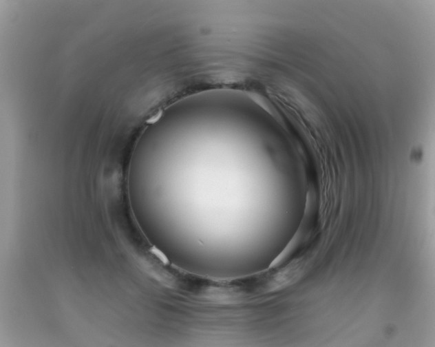 X0000091940556200709051525