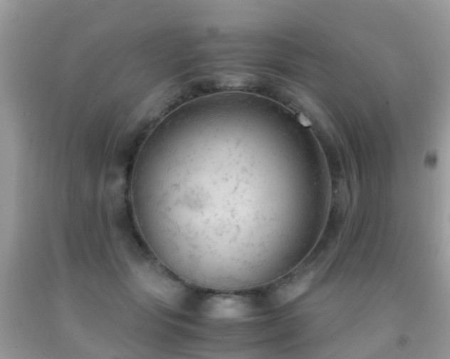 X0000091940557200709051525