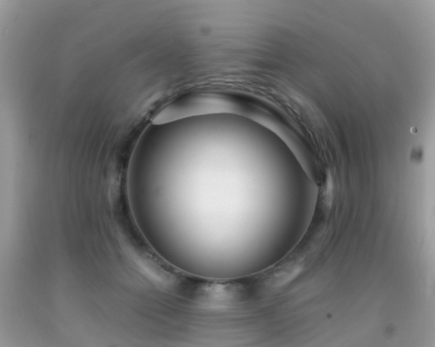 X0000091940558200709051525