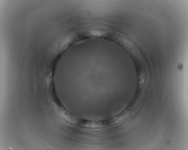 X0000091940559200709051525