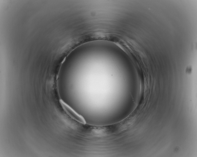 X0000091940560200709051525