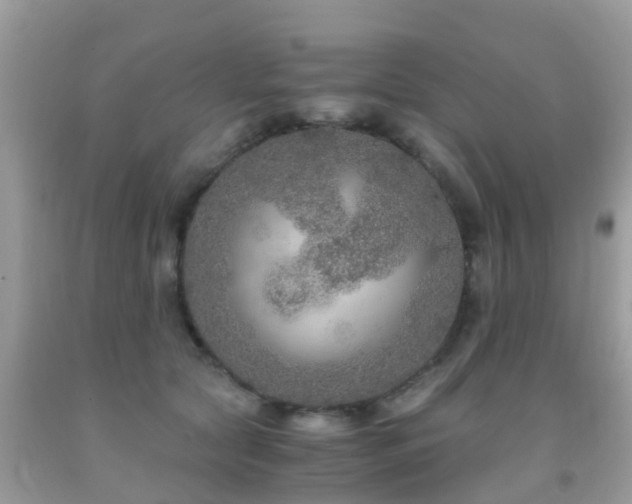 X0000091940561200709051525