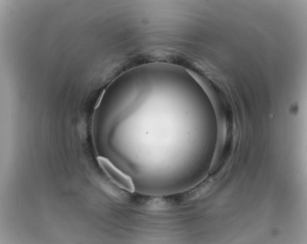 X0000091940562200709051525