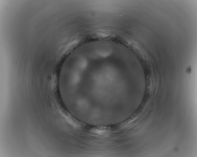 X0000091940563200709051525