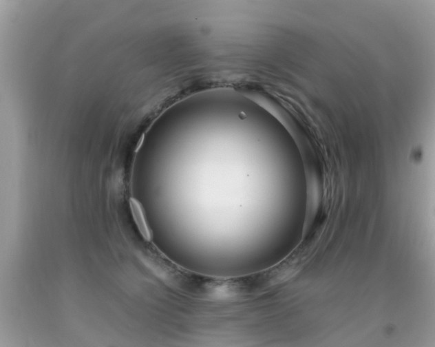 X0000091940564200709051525