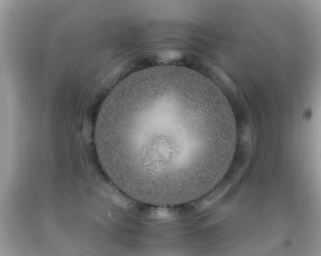 X0000091940565200709051525