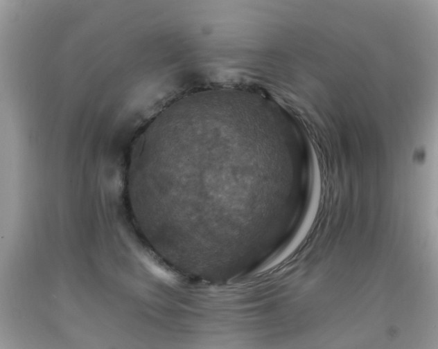 X0000091940566200709051525