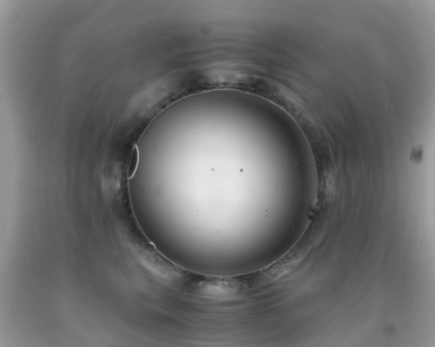 X0000091940567200709051525