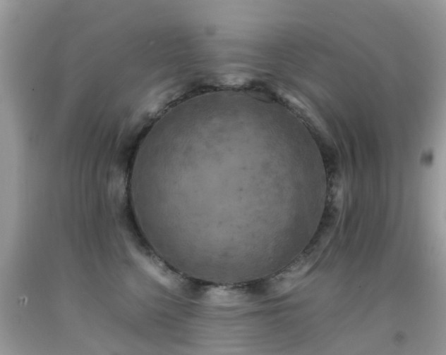 X0000091940568200709051525