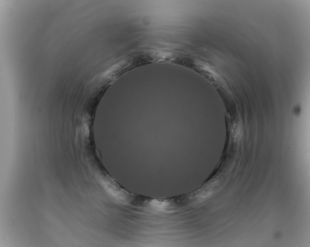 X0000091940570200709051525