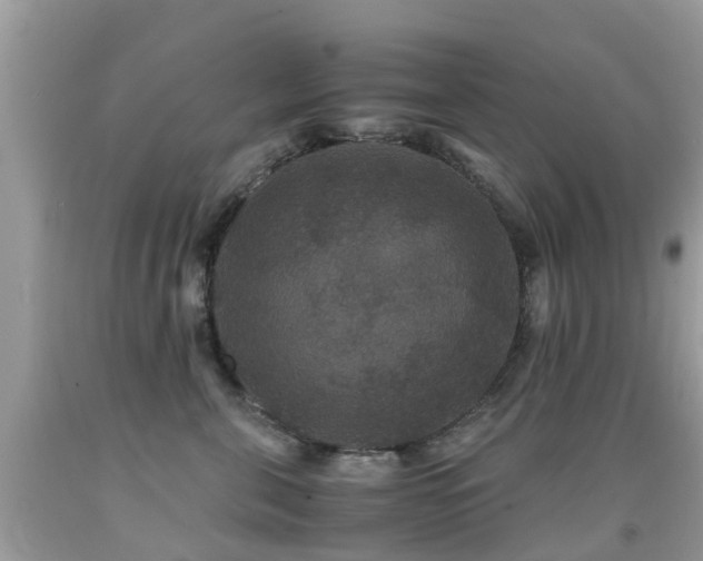 X0000091940571200709051525