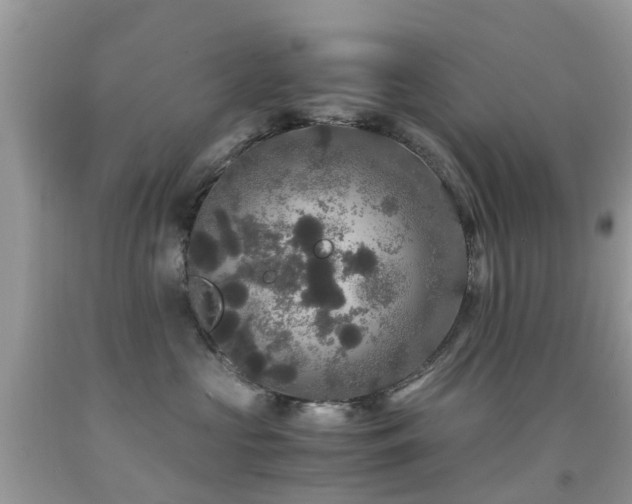 X0000091940573200709051525